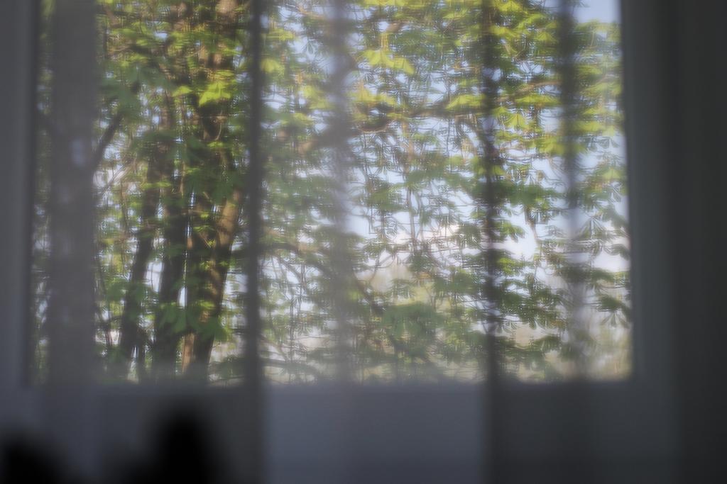 Saulys Druskininkai Quarto foto